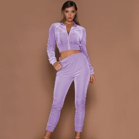 Spring Autumn Winter Linter 2 Piece Set Women Trousers Long Sleeves Solid Zipper Bundle Feet Sportswear Suit Short Pile Fabric (Color: Purple, size: S)