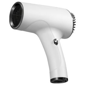 Wireless Rechargeable Quick-drying Hair Dryer Student Dormitory Anion Care Mute Portable Electric (Color: White)